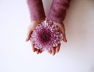 Similar image 11917306