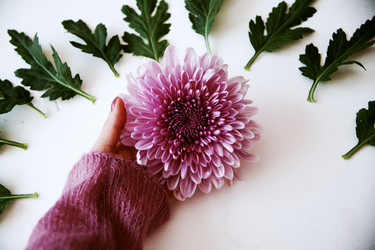 Similar image 11917307