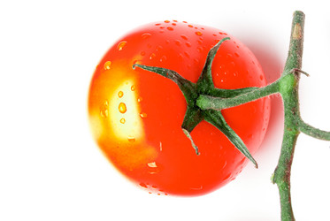 Similar image 11894318