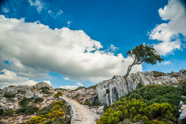 Similar image 11894328