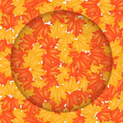 Similar image 11918520