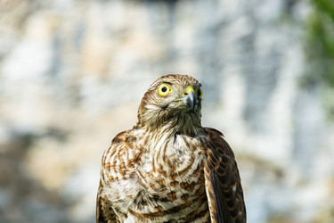 Similar image 11918005