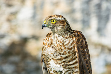 Similar image 11918007