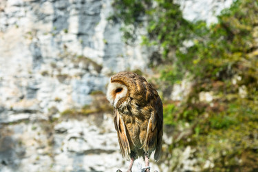 Similar image 11918009