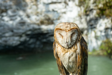 Similar image 11918011