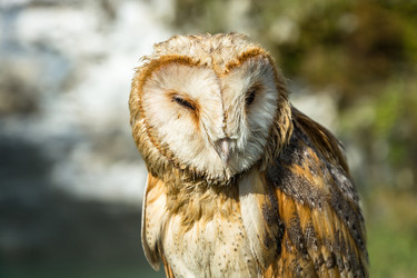 Similar image 11918013