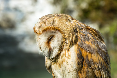 Similar image 11918014