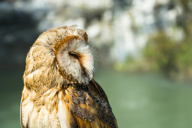 Similar image 11918015