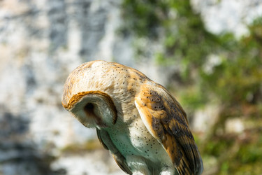 Similar image 11918016