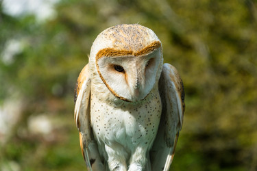 Similar image 11918018