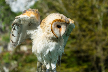 Similar image 11881261