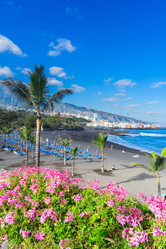 Similar image 11899250