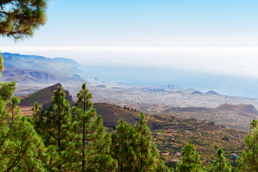 Similar image 11899853