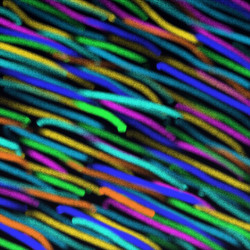 Similar image 11918030