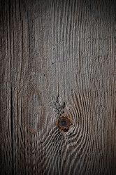 Similar image 11918049