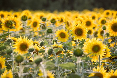 Similar image 11917543