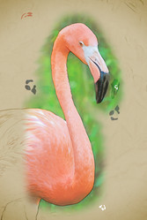 Similar image 11894589