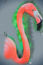 Similar image 11894605