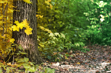 Similar image 11896359