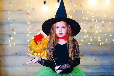 Similar image 11911461