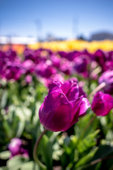 Similar image 11917545