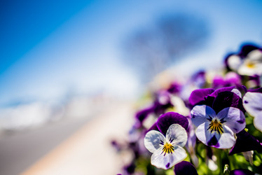 Similar image 11917548