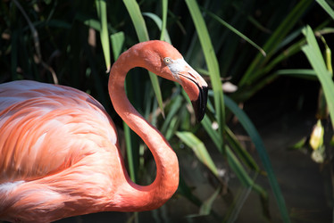 Similar image 11917549