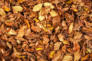 Similar image 11881272