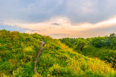 Similar image 11894057