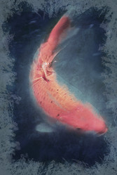 Similar image 11894192