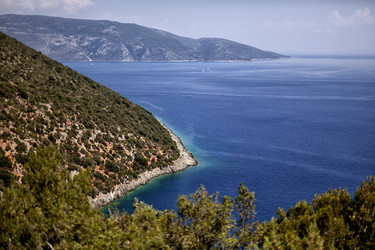 Similar image 11919016