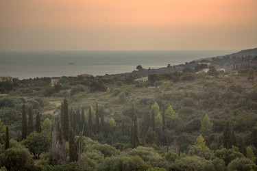 Similar image 11919038