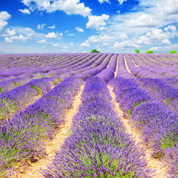 Similar image 11899995