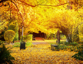 Similar image 11900285