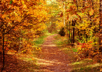 Similar image 11900111