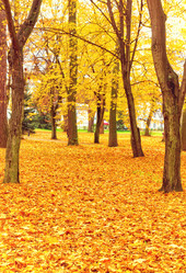 Similar image 11900112