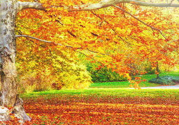 Similar image 11900321