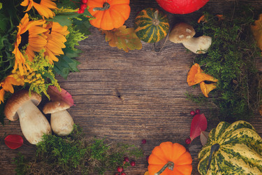 Similar image 11900322