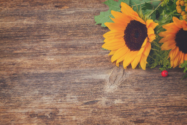 Similar image 11894722