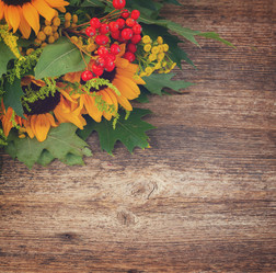 Similar image 11894932