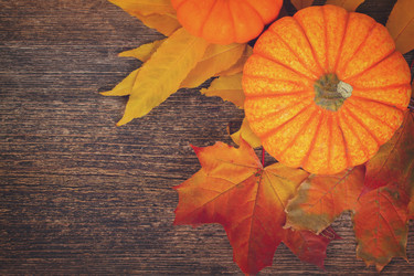 Similar image 11894933