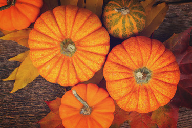 Similar image 11898137