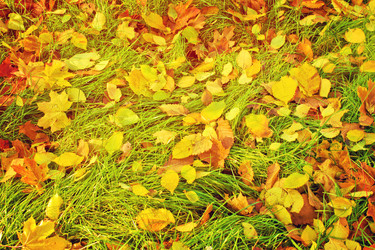 Similar image 11899251