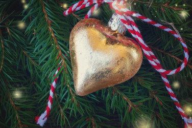 Similar image 11899524