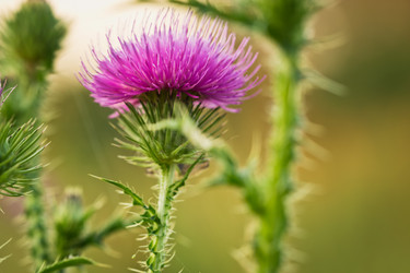 Similar image 11917789