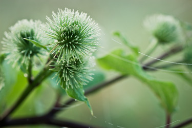 Similar image 11917792