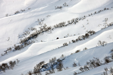 Similar image 11882389