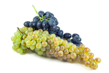 Similar image 11896778