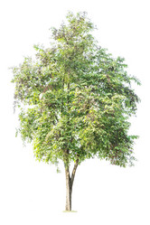 Similar image 11886916