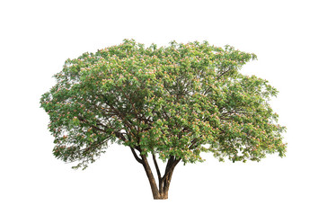 Similar image 11886919